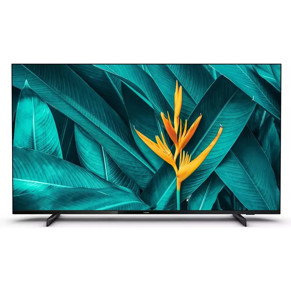 Fernseher